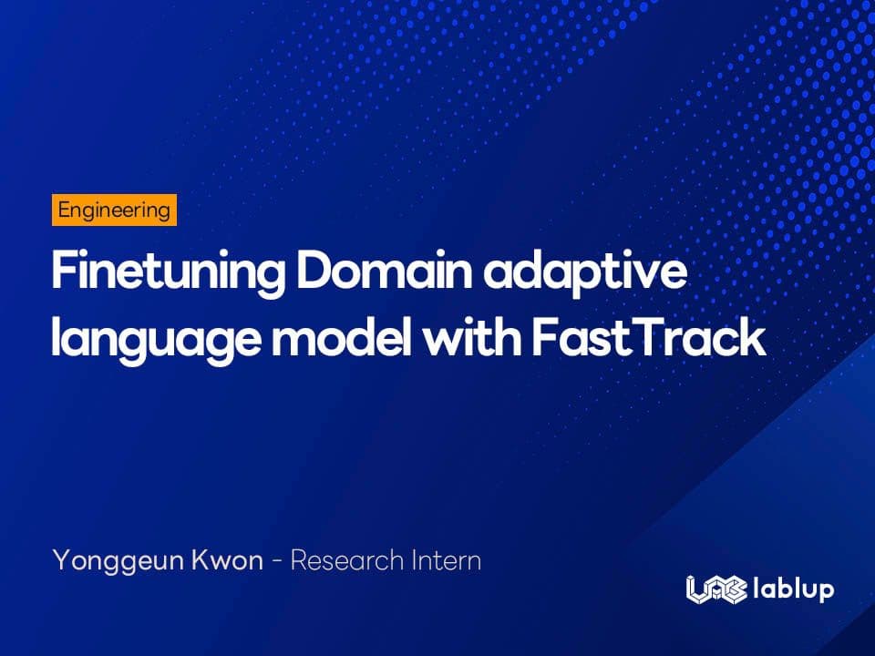 Finetuning Domain adaptive language model with FastTrack