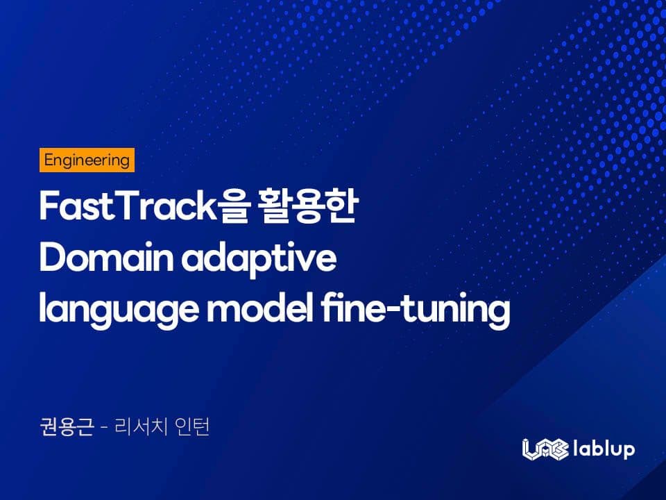 FastTrack을 활용한 Domain adaptive language model fine-tuning